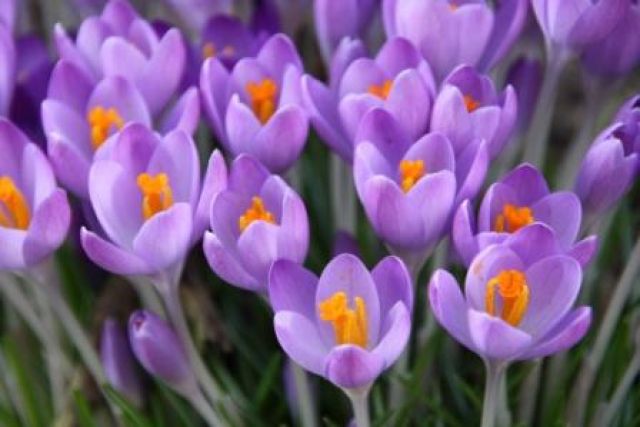 VI Międzyszkolny Konkurs Wiedzy Ekologicznej