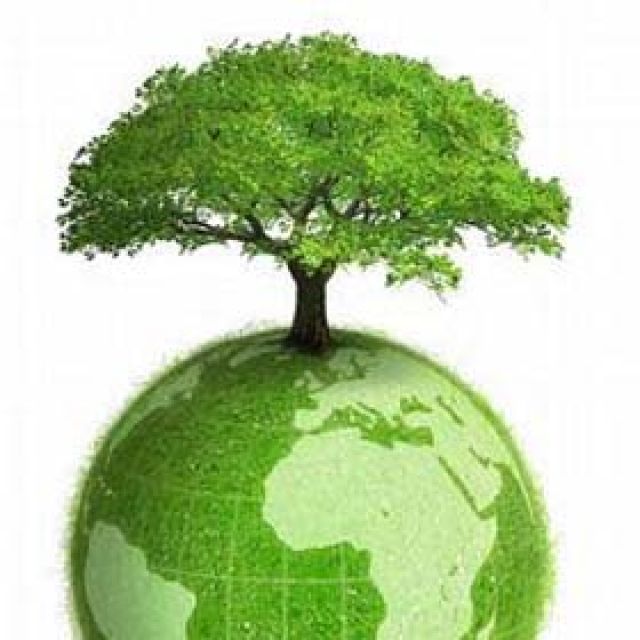 Konkursy Ekologiczne - 27.03.2012