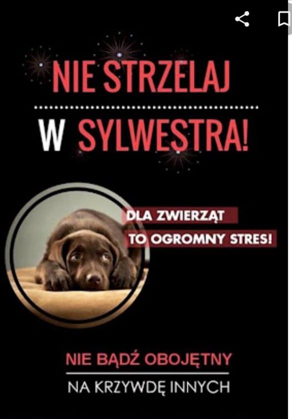 AKCJA ,,NIE  STRZELAM  W  SYLWESTRA”- dbaj o bezpieczeństwo swoje i innych