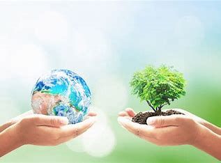 Konkursy ekologiczne w naszej szkole.